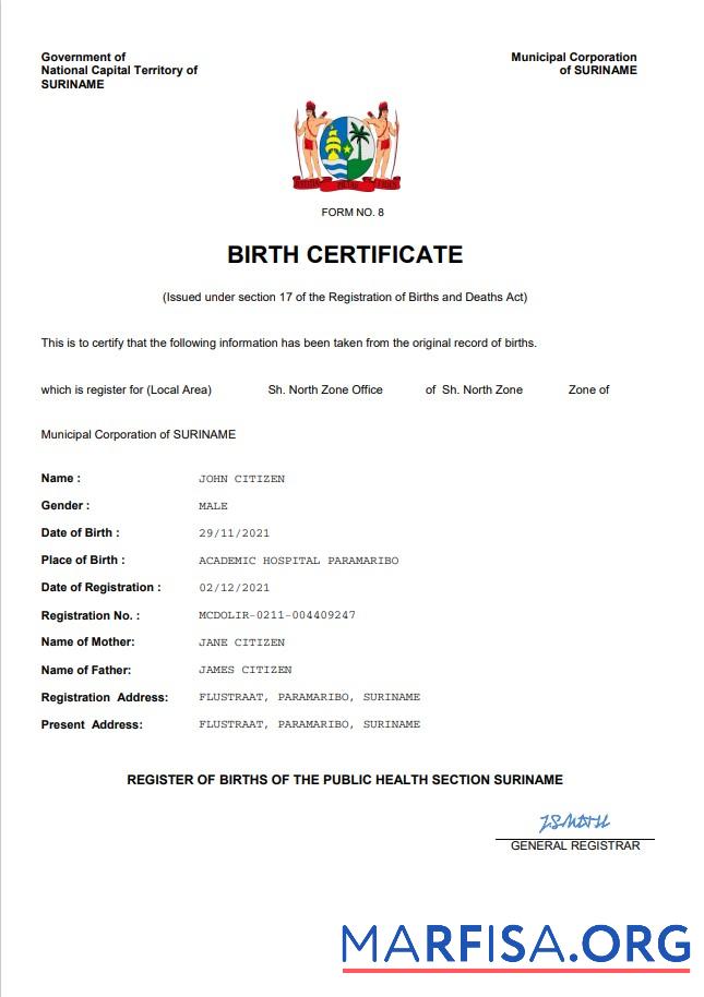 Printable Suriname vital record birth certificate Word and PDF template